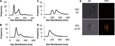 Fabrication and Characterization of a Biomaterial Based on Extracellular-Vesicle Functionalized Graphene Oxide